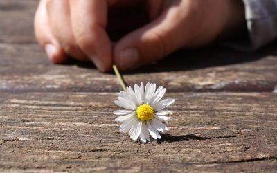 Givers Gain: What Rotary Taught Me About Serving Others